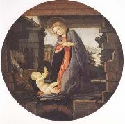 Sandro Botticelli Madonna in Adoration of the Christ Child Germany oil painting artist